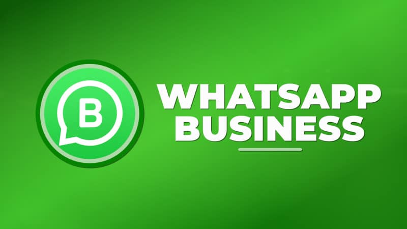 descubre como utilizar whatsapp business